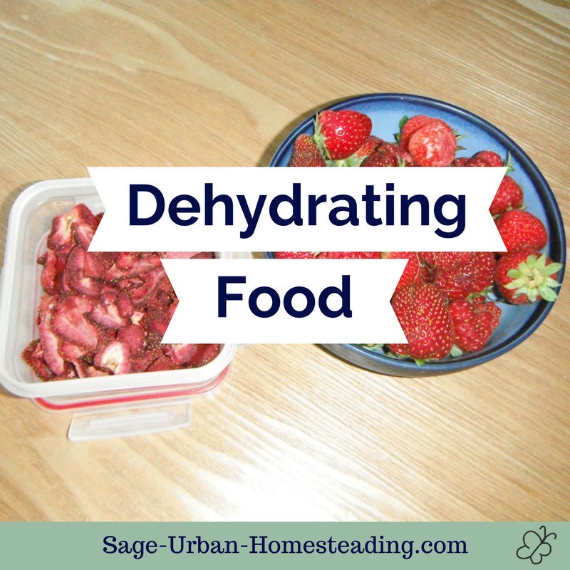 dehydrating food