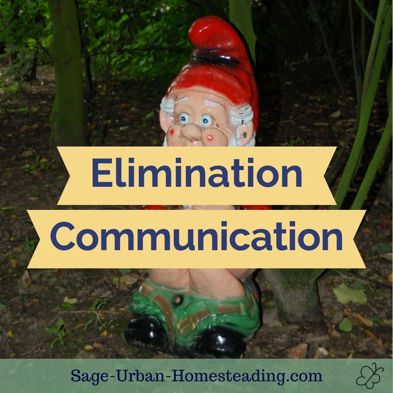 elimination communication