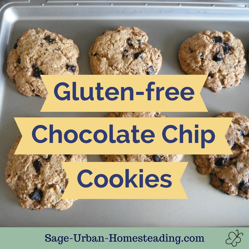 gluten-free chocolate chip cookies