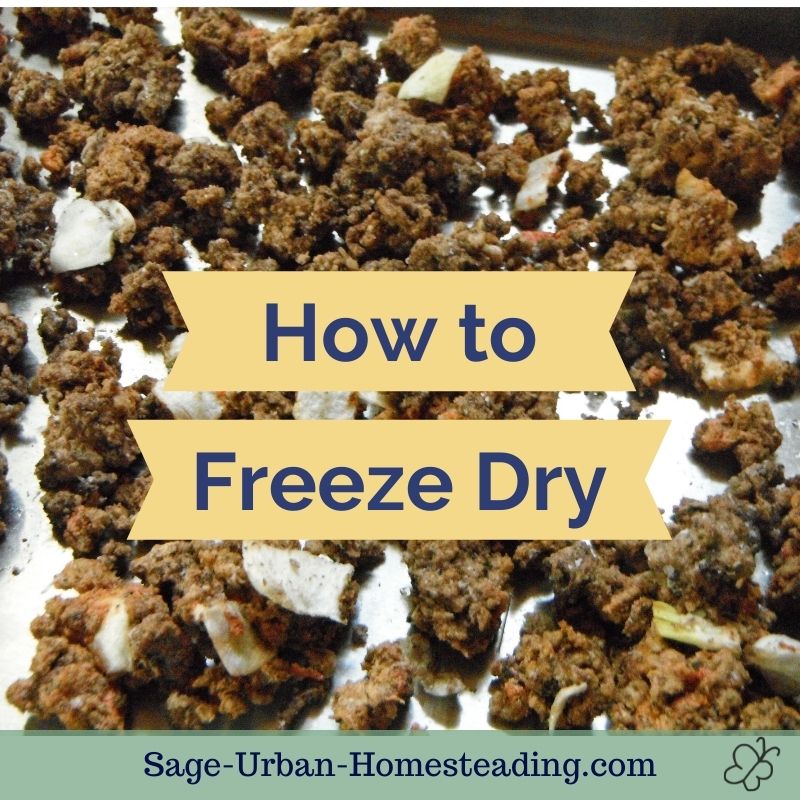 how to freeze dry