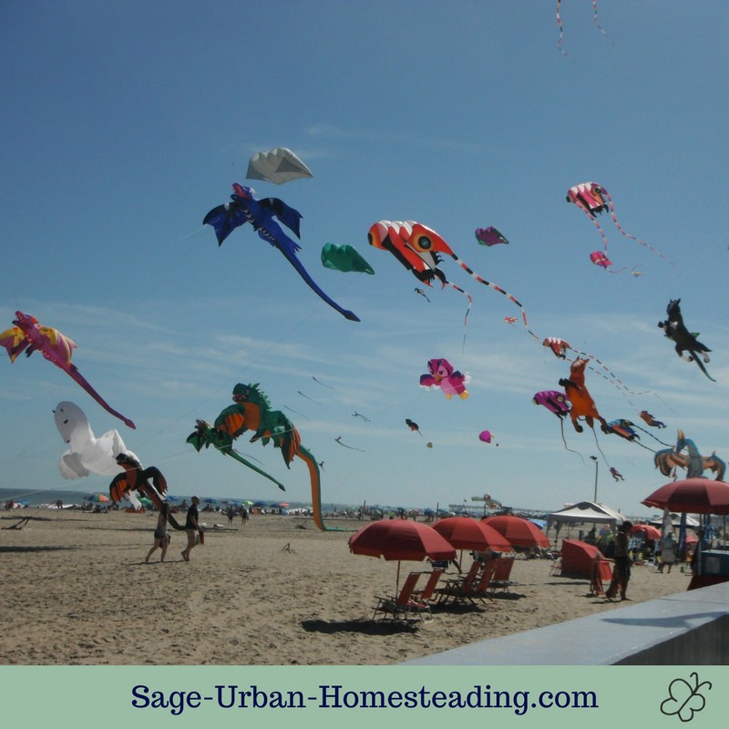 kite festival beach