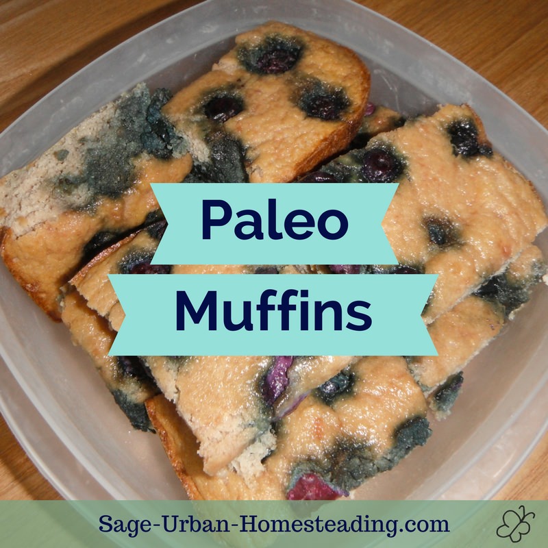 paleo muffins