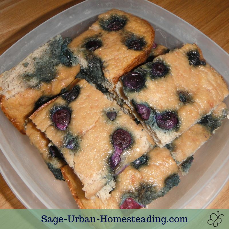 paleo blueberry muffins