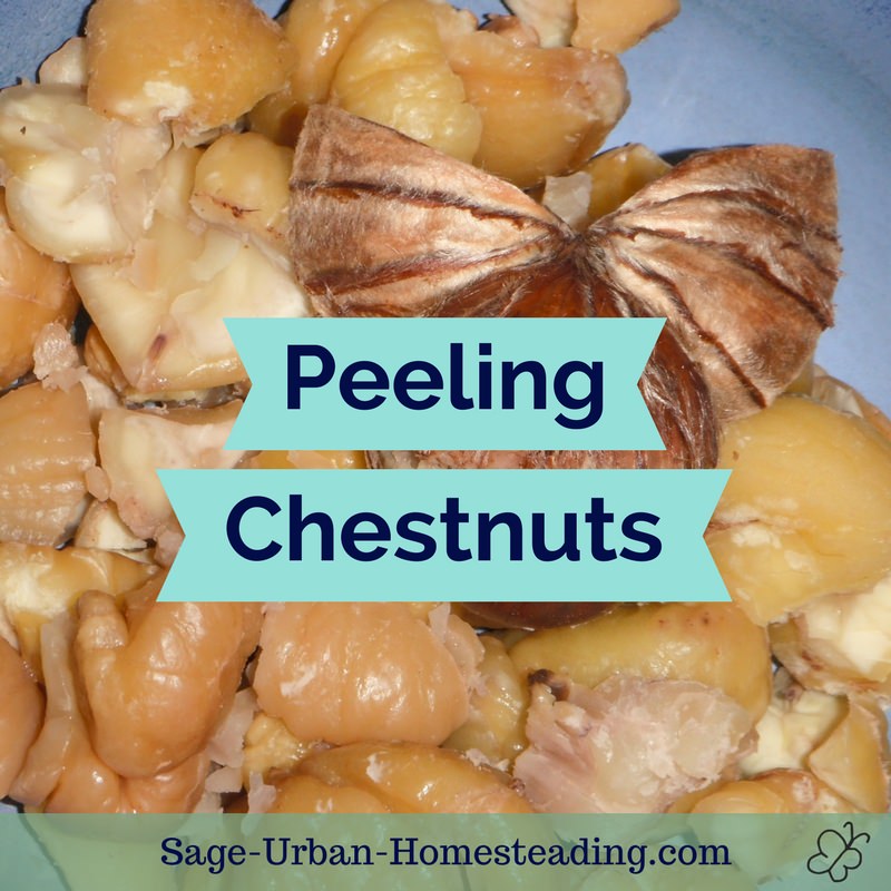 peeling chestnuts