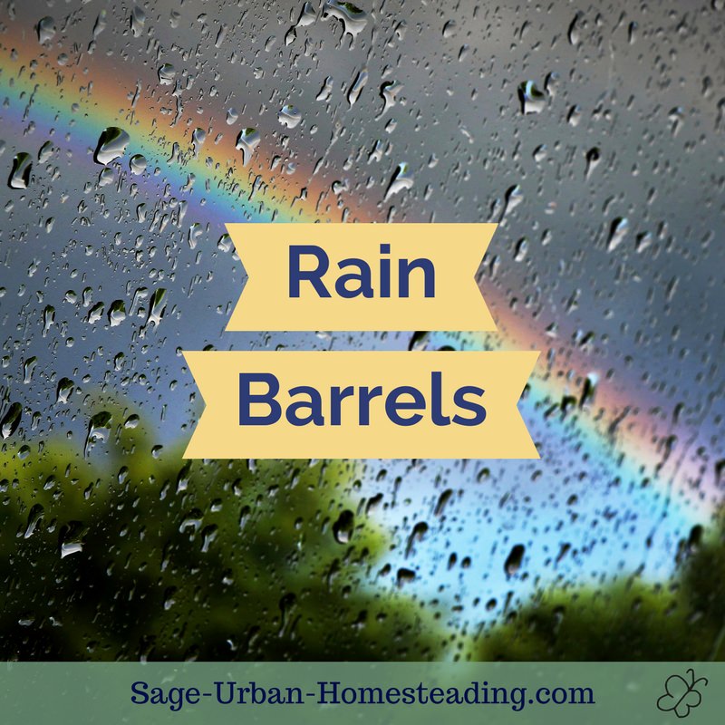 rain barrels