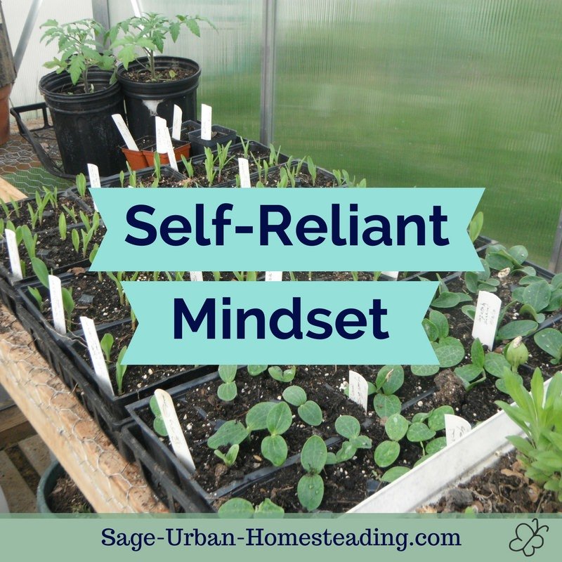self-reliant mindset