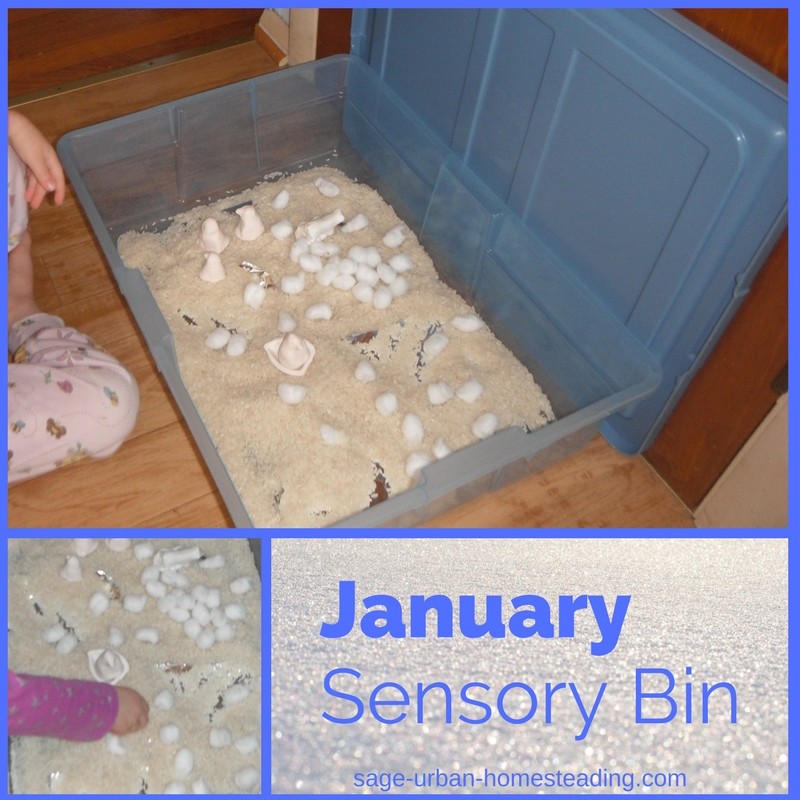 January sensory bin