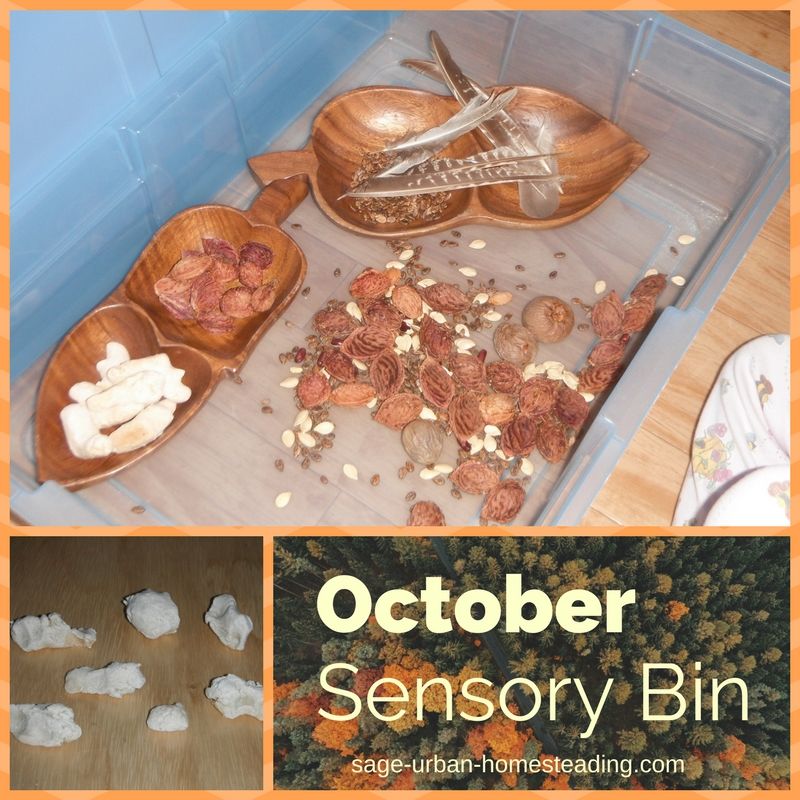 October sensory bin