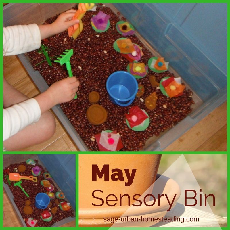 May sensory bin