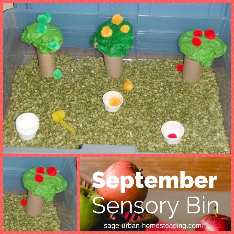 September sensory bin