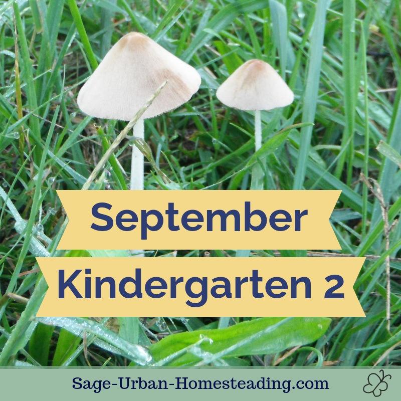 September kindergarten 2