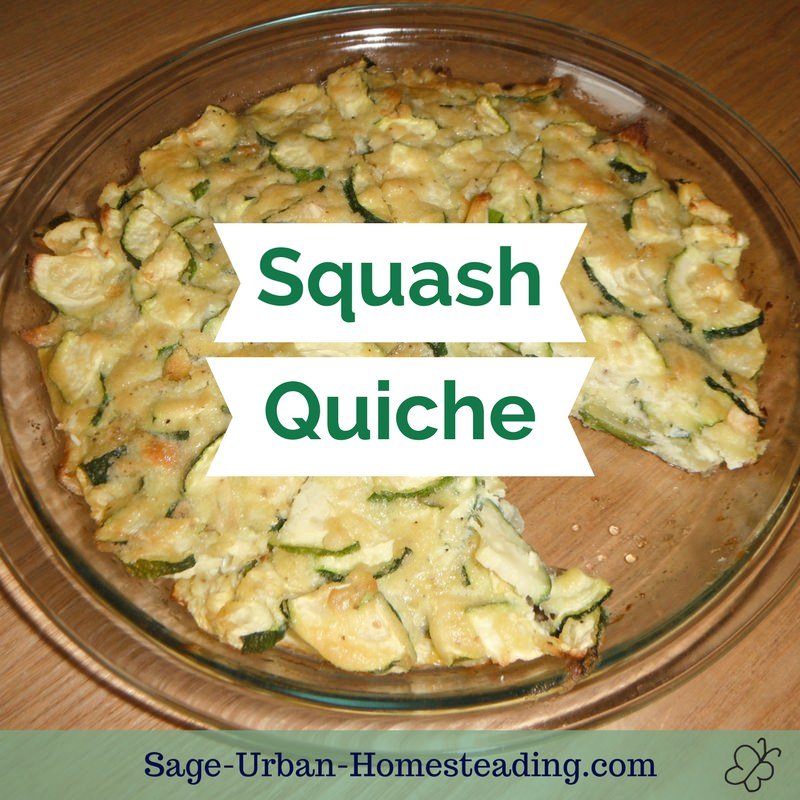 homemade squash quiche