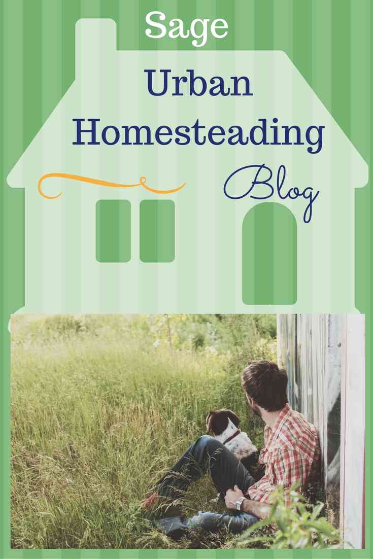 sage urban homesteading blog