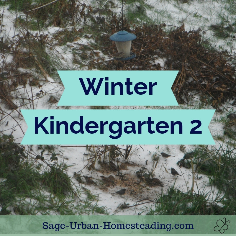 winter kindergarten 2